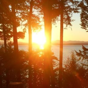 Meet your Posher, Katrina